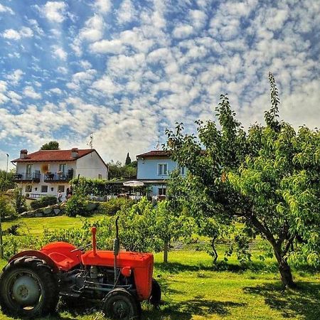 Agriturismo 30 Moniga del Garda Exteriér fotografie