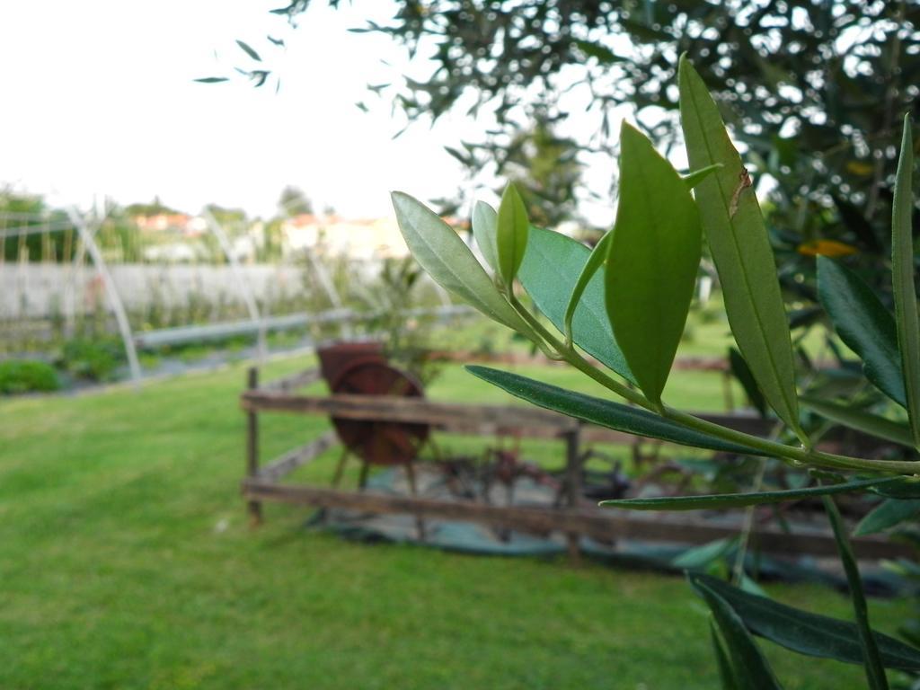Agriturismo 30 Moniga del Garda Exteriér fotografie